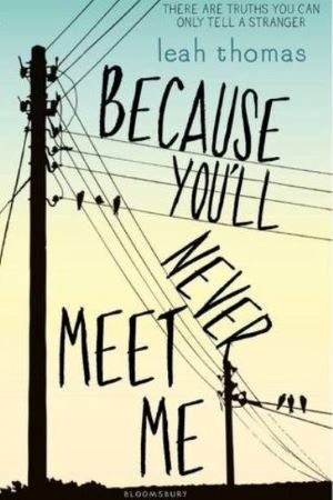 Book cover - Because You'll Never Meet Me by Leah Thomas