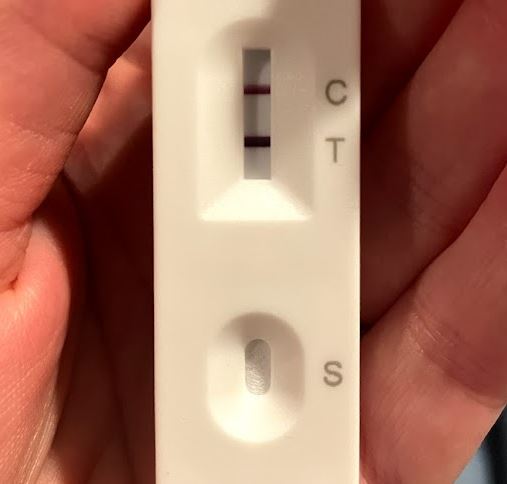 Close up of a lateral flow test for COVID-19, showing a positive result: a stripe at C and one at T.