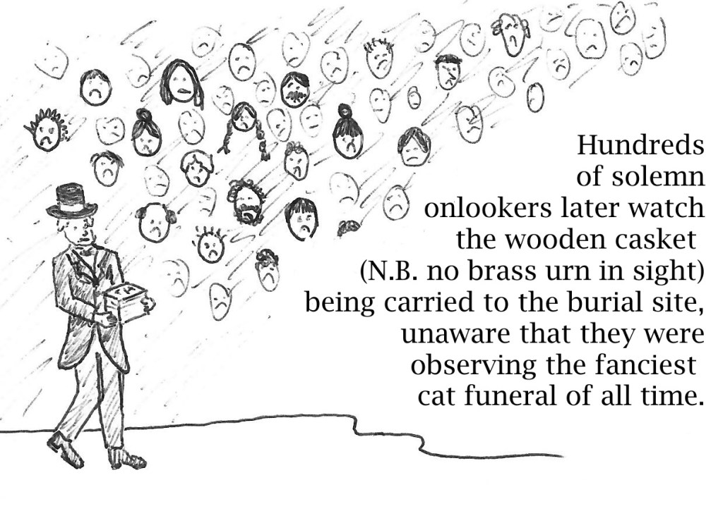 Image: Sombre-looking man in top hat and tails carries a box with initials TH on its lid. Sea of sad faces in background. Text: Hundreds of solemn onlookers later watch the wooden casket (N.B. no brass urn in sight) being carried to the burial site, unaware that they were observing the fanciest cat funeral of all time.