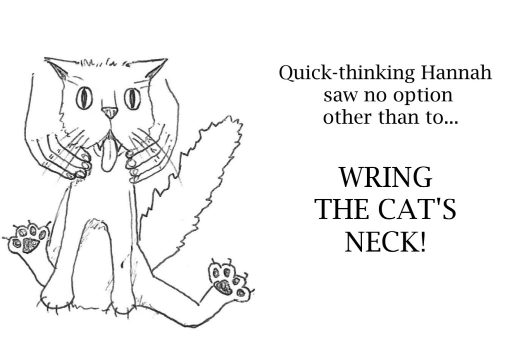 Image: drawing of a cat with tongue and claws sticking out and a bushy tail. Two human hands are clasped rougn the cat's neck. Text: Quick-thinking Hannah saw no option other than to wring the cat’s neck!
